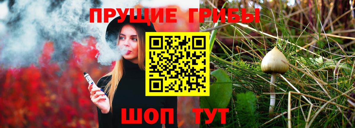 Энгельс  Галлюциногенные грибы GOLDEN TEACHER  Вход с VPN  Галлюциногенные грибы мухоморы 
